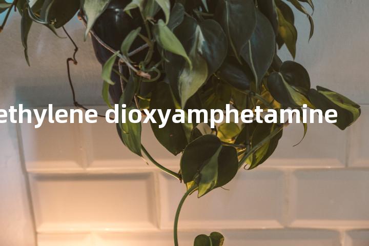 methylene dioxyamphetamine单词图解，单词释义场景配图