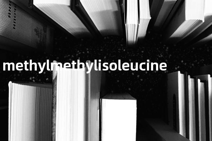 methylmethylisoleucine单词图解，单词释义场景配图