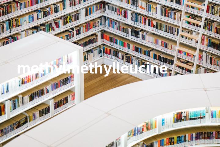 methylmethylleucine单词图解，单词释义场景配图