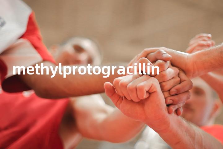 methylprotogracillin单词图解，单词释义场景配图