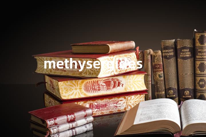 methysergides单词图解，单词释义场景配图