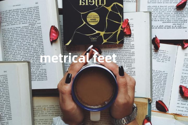 metrical feet单词图解，单词释义场景配图