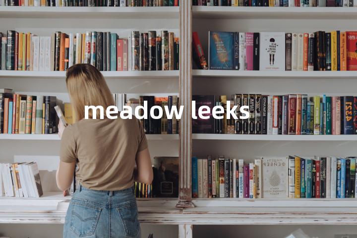 meadow leeks单词图解，单词释义场景配图
