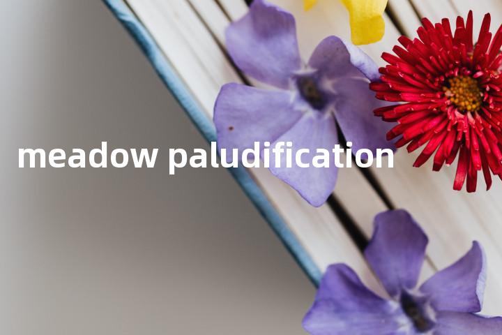 meadow paludification单词图解，单词释义场景配图