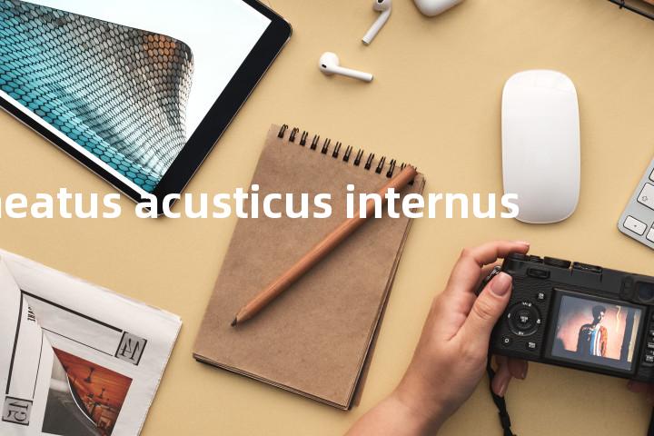 meatus acusticus internus单词图解，单词释义场景配图