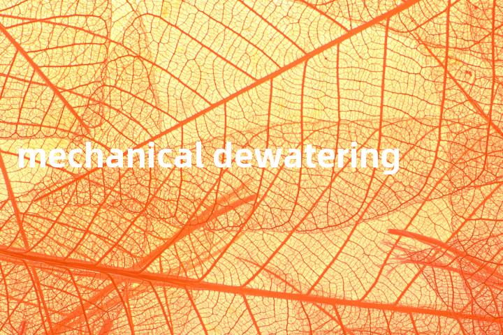 mechanical dewatering单词图解，单词释义场景配图