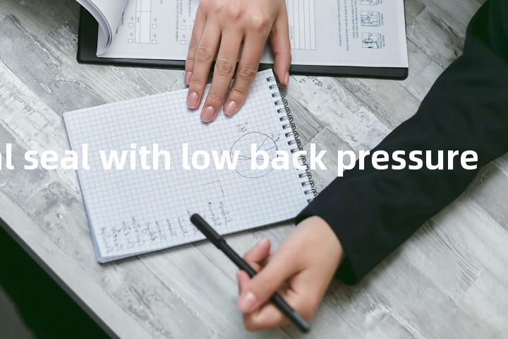 mechanical seal with low back pressure单词图解，单词释义场景配图