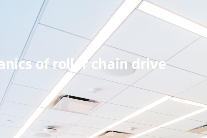 mechanics of roller chain drive单词图解，单词释义场景配图