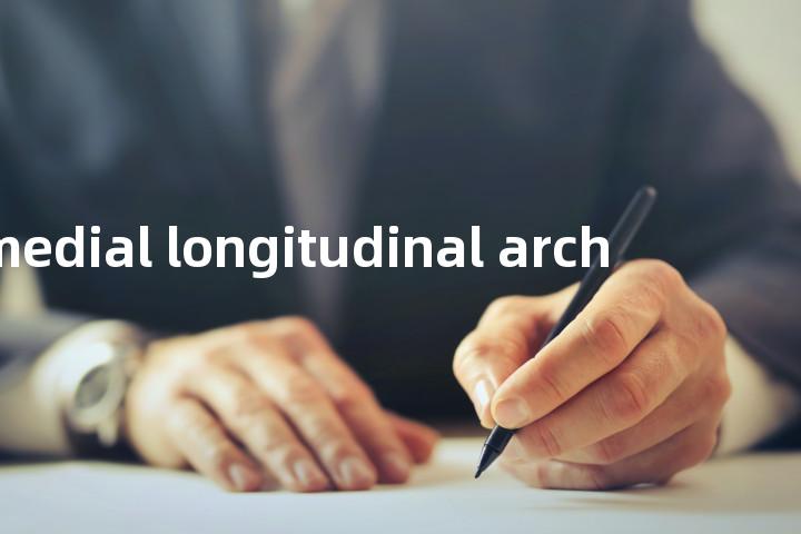 medial longitudinal arch单词图解，单词释义场景配图