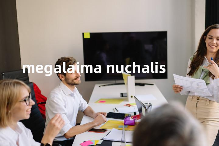 megalaima nuchalis单词图解，单词释义场景配图