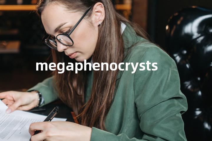 megaphenocrysts单词图解，单词释义场景配图