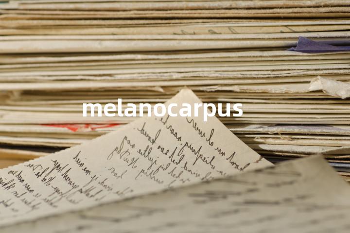 melanocarpus单词图解，单词释义场景配图