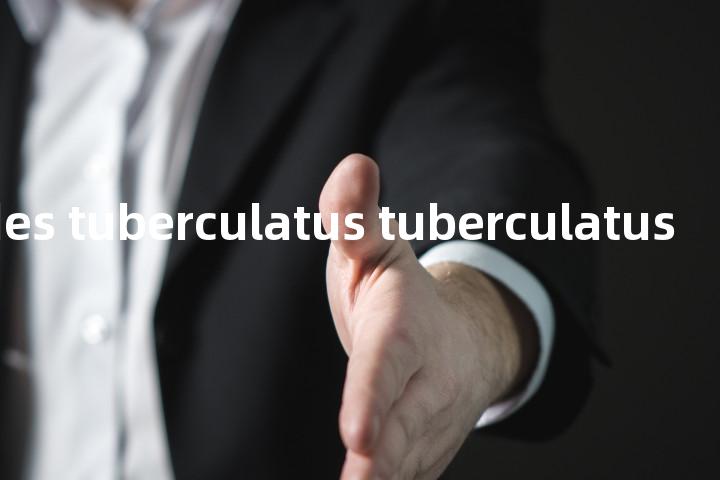 melanoides tuberculatus tuberculatus单词图解，单词释义场景配图