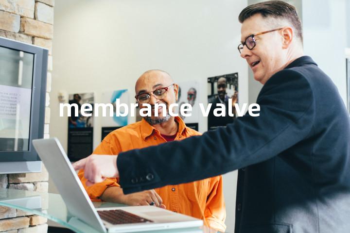 membrance valve单词图解，单词释义场景配图