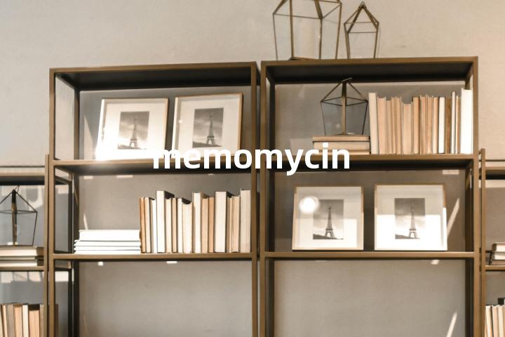 memomycin单词图解，单词释义场景配图