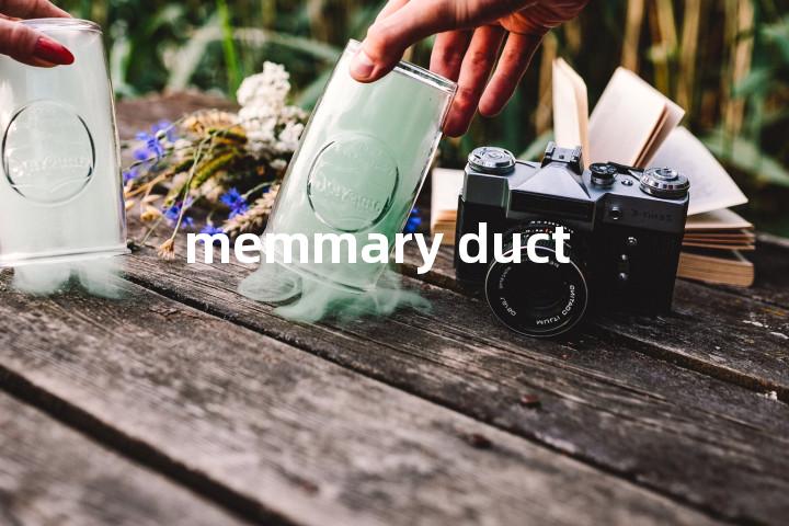 memmary duct单词图解，单词释义场景配图