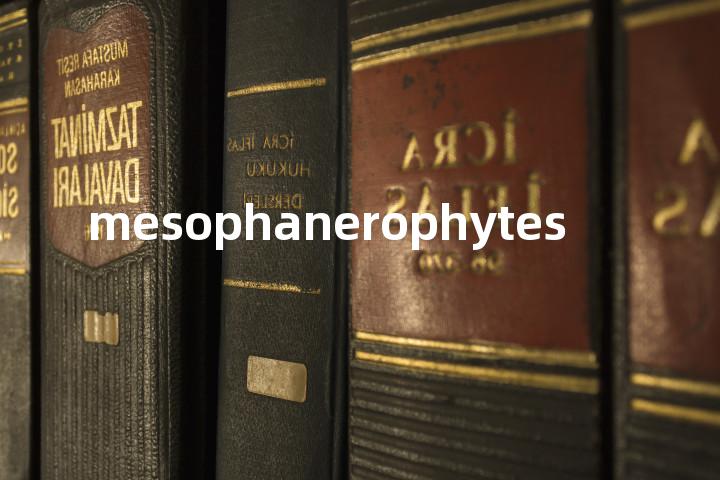 mesophanerophytes单词图解，单词释义场景配图