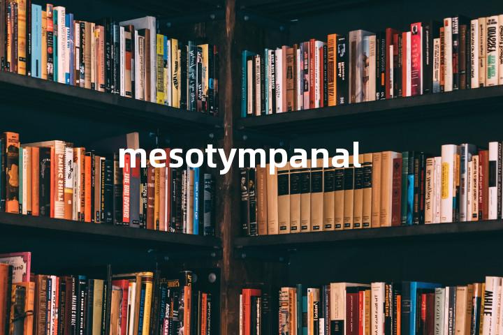 mesotympanal单词图解，单词释义场景配图