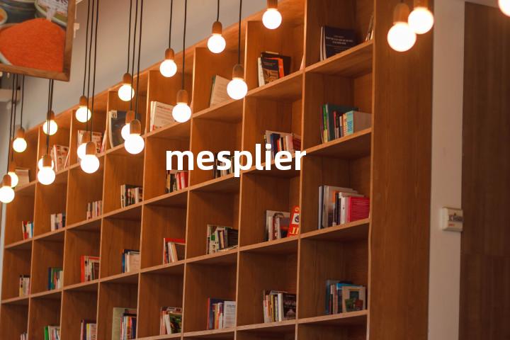 mesplier单词图解，单词释义场景配图