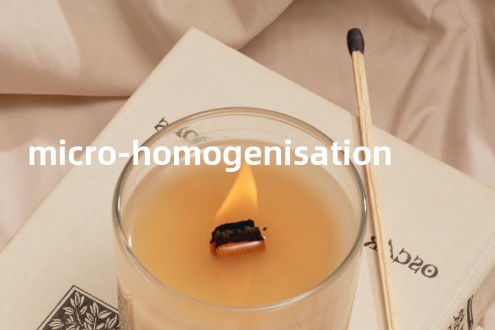 micro-homogenisation单词图解，单词释义场景配图