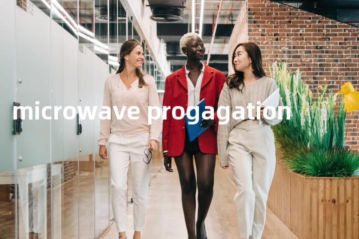 microwave progagation单词图解，单词释义场景配图