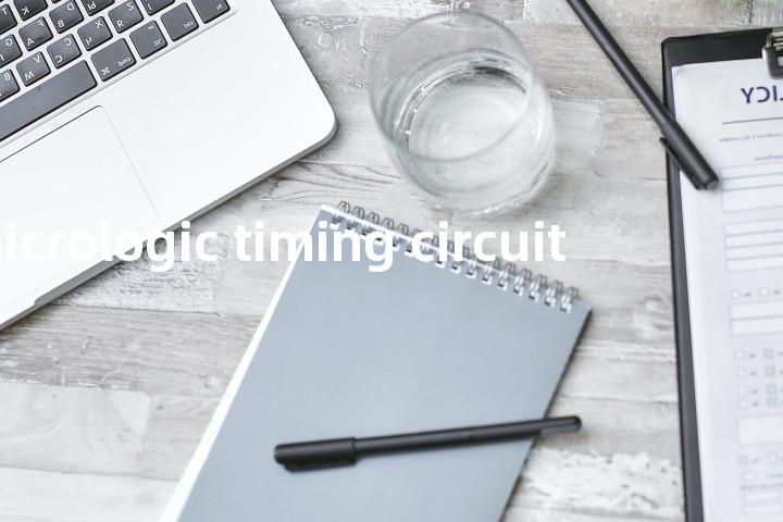 micrologic timing circuit单词图解，单词释义场景配图