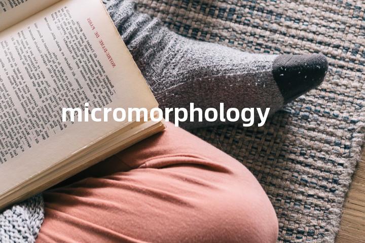 micromorphology单词图解，单词释义场景配图