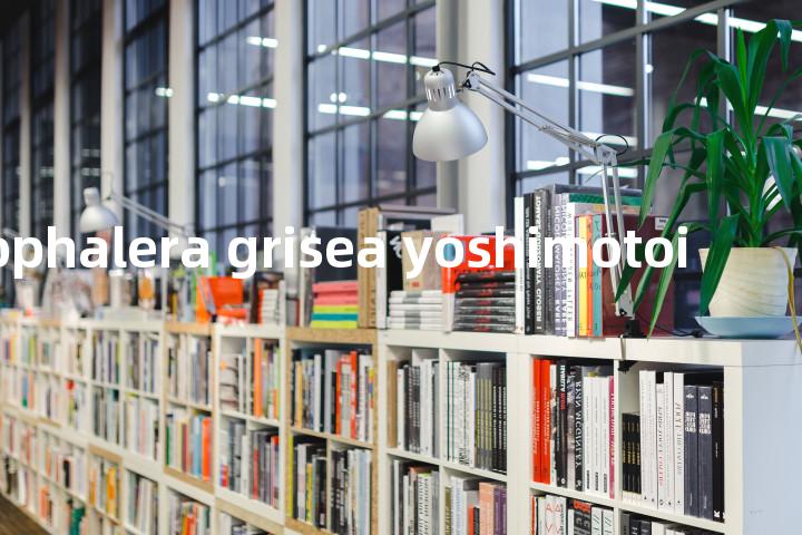 microphalera grisea yoshimotoi单词图解，单词释义场景配图