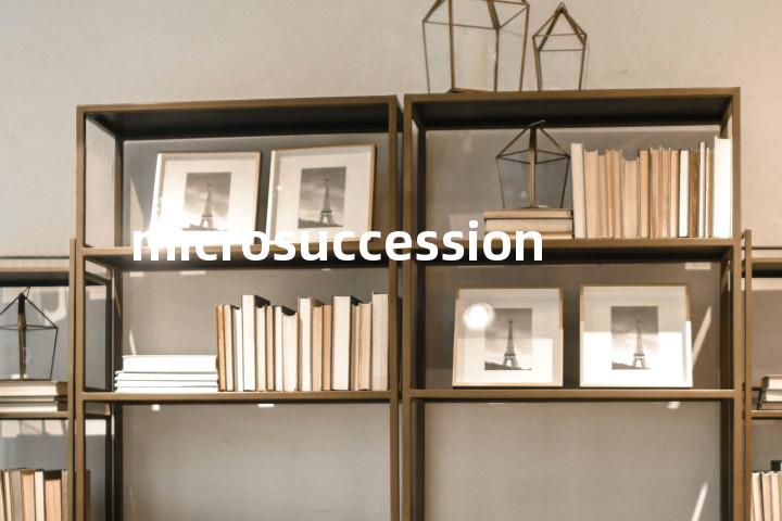microsuccession单词图解，单词释义场景配图