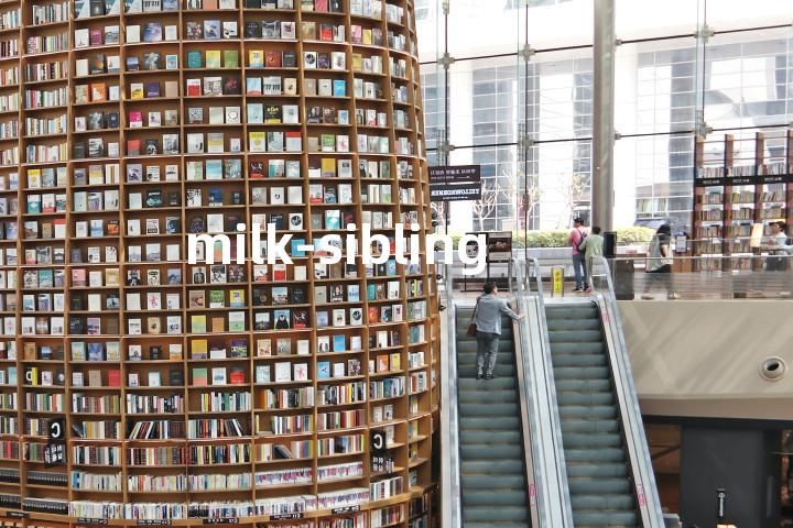 milk-sibling单词图解，单词释义场景配图