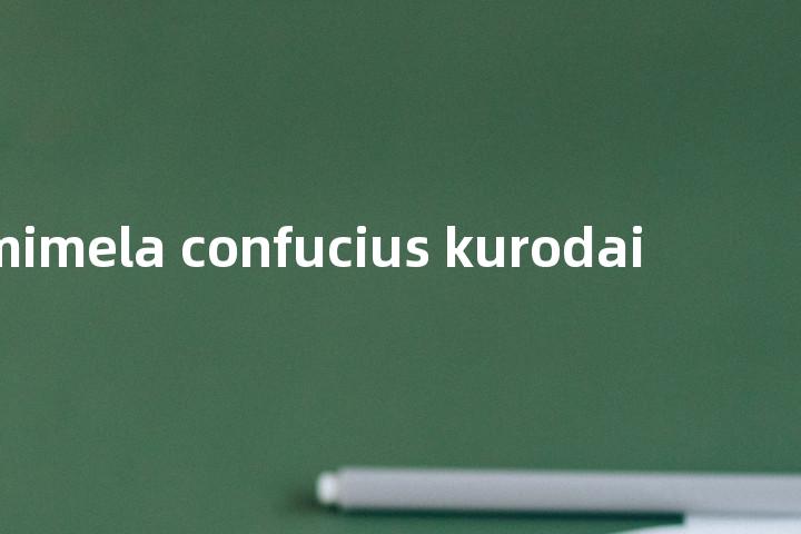 mimela confucius kurodai单词图解，单词释义场景配图