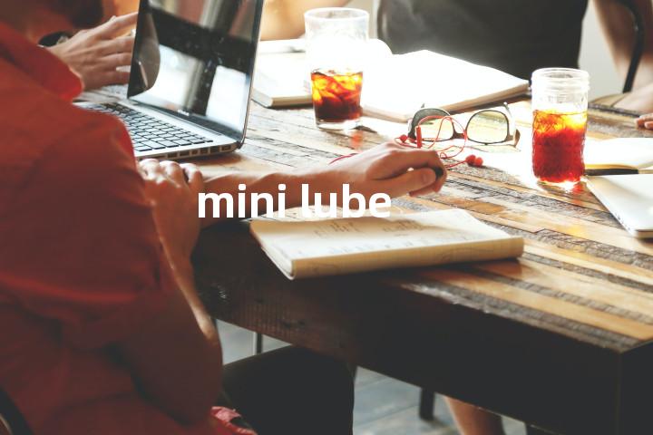 mini lube单词图解，单词释义场景配图
