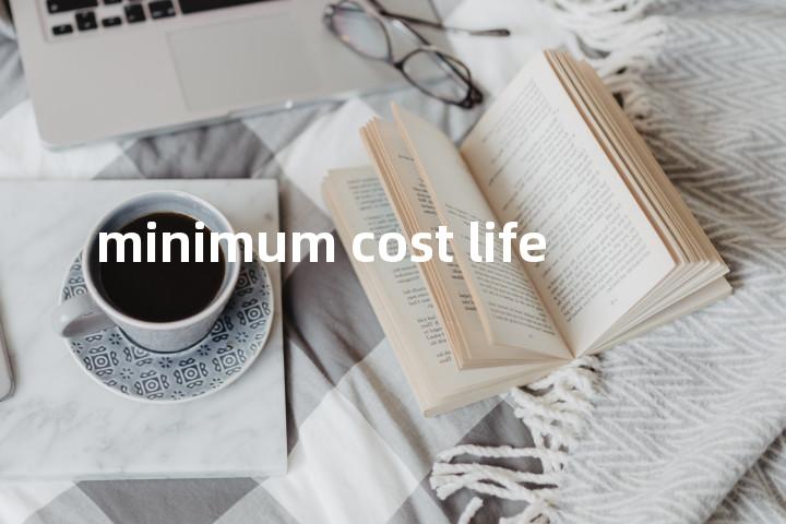 minimum cost life单词图解，单词释义场景配图