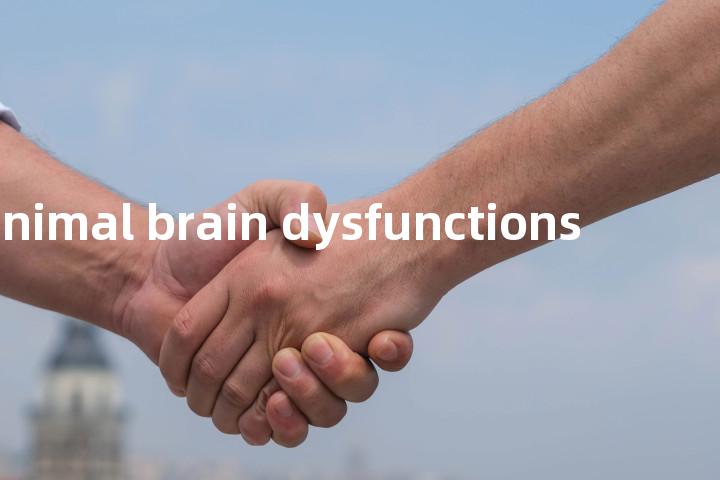 minimal brain dysfunctions单词图解，单词释义场景配图