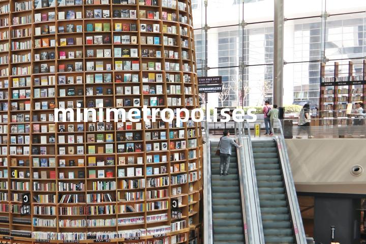 minimetropolises单词图解，单词释义场景配图