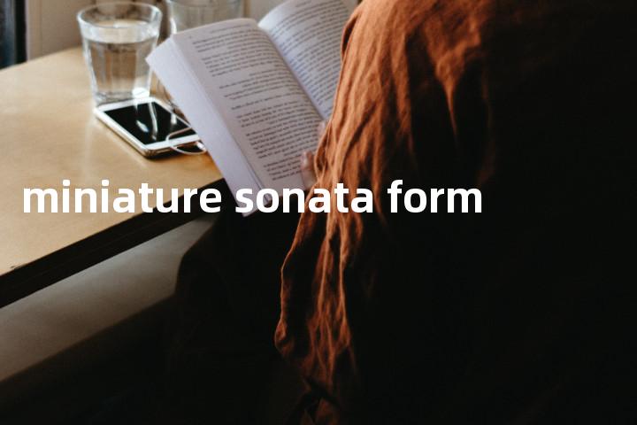 miniature sonata form单词图解，单词释义场景配图