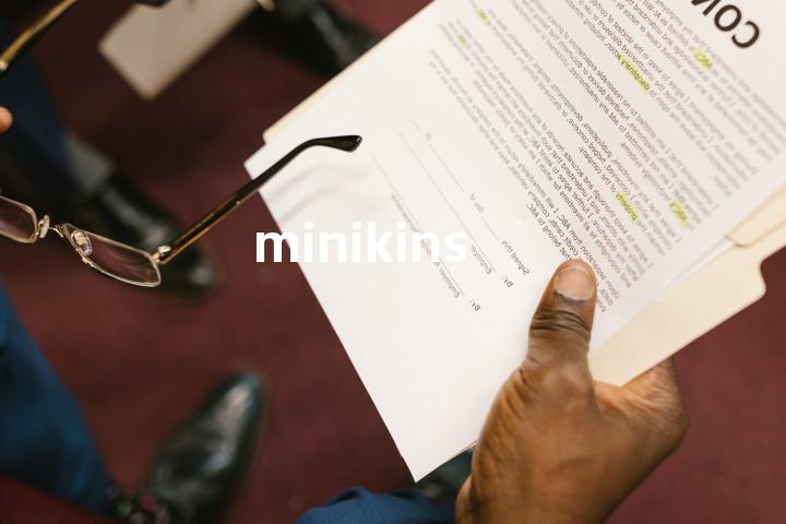 minikins单词图解，单词释义场景配图