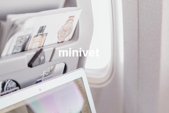 minivet单词图解，单词释义场景配图