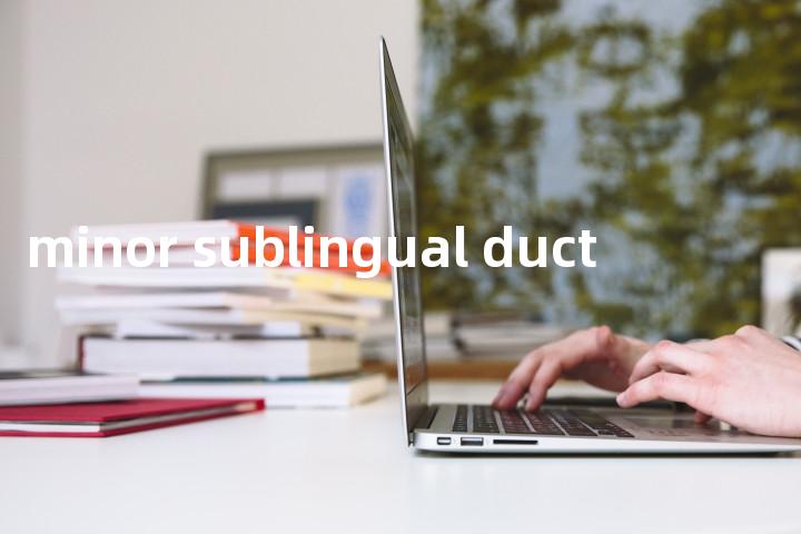 minor sublingual duct单词图解，单词释义场景配图