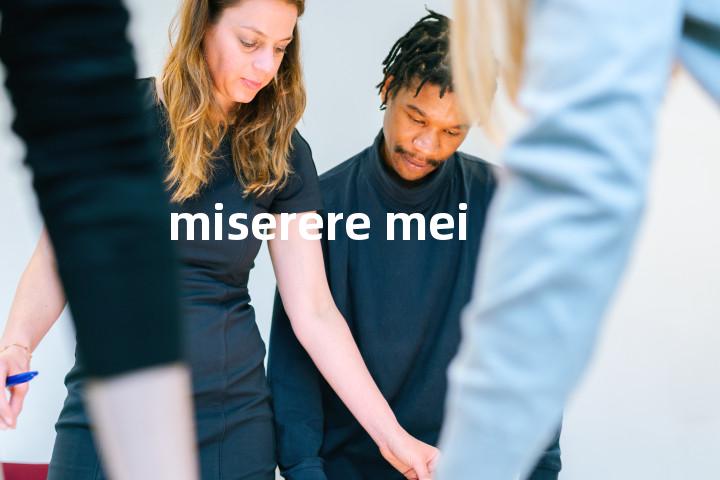 miserere mei单词图解，单词释义场景配图