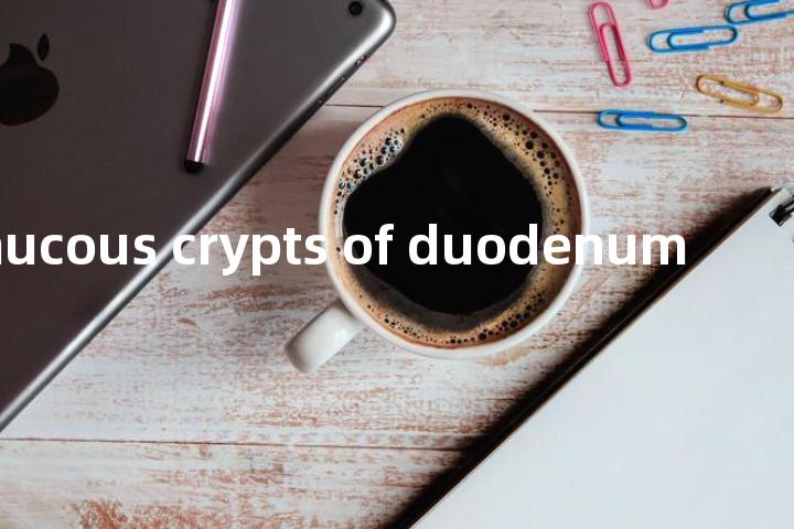 mucous crypts of duodenum单词图解，单词释义场景配图