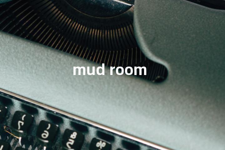 mud room单词图解，单词释义场景配图