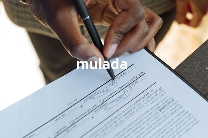 mulada单词图解，单词释义场景配图