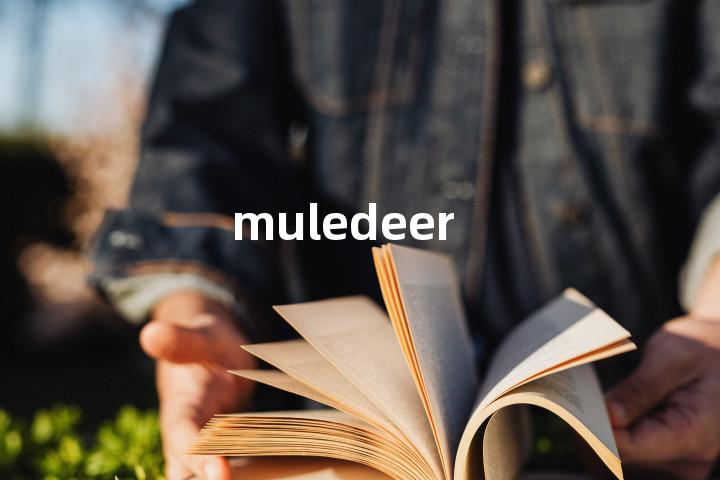 muledeer单词图解，单词释义场景配图