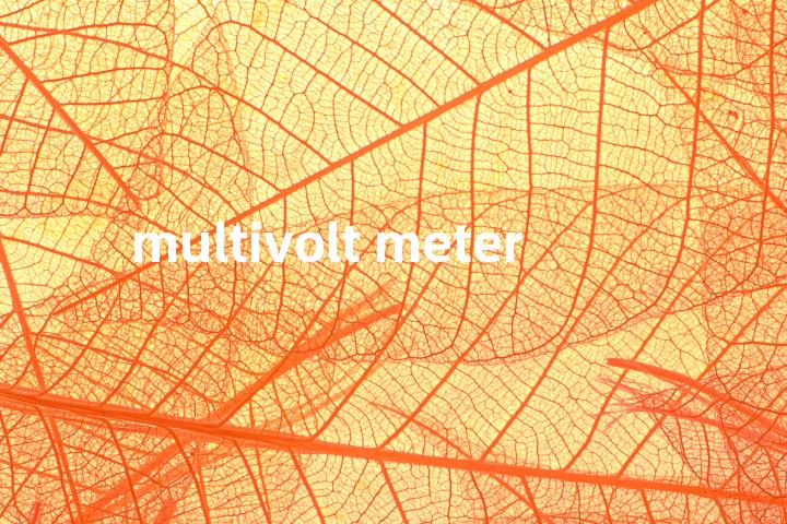 multivolt meter单词图解，单词释义场景配图