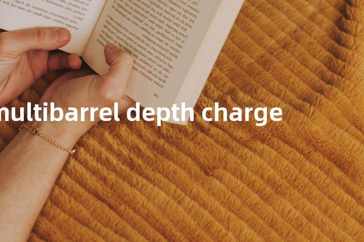 multibarrel depth charge单词图解，单词释义场景配图