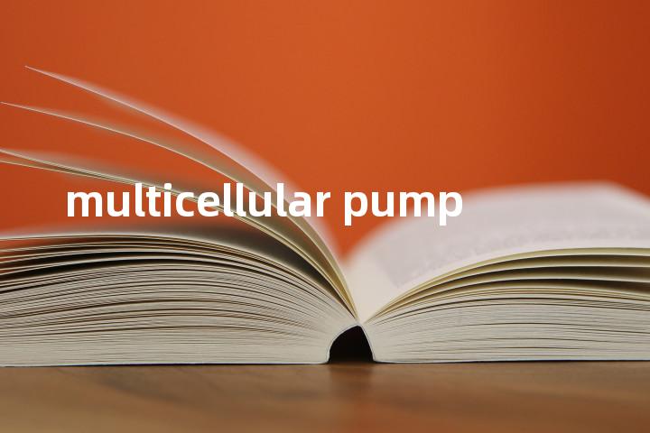 multicellular pump单词图解，单词释义场景配图