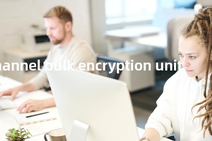 multichannel bulk encryption unit单词图解，单词释义场景配图