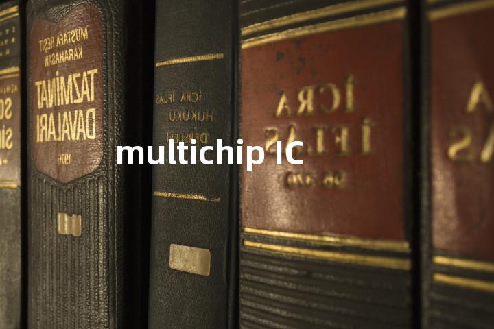 multichip IC单词图解，单词释义场景配图