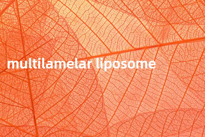 multilamelar liposome单词图解，单词释义场景配图